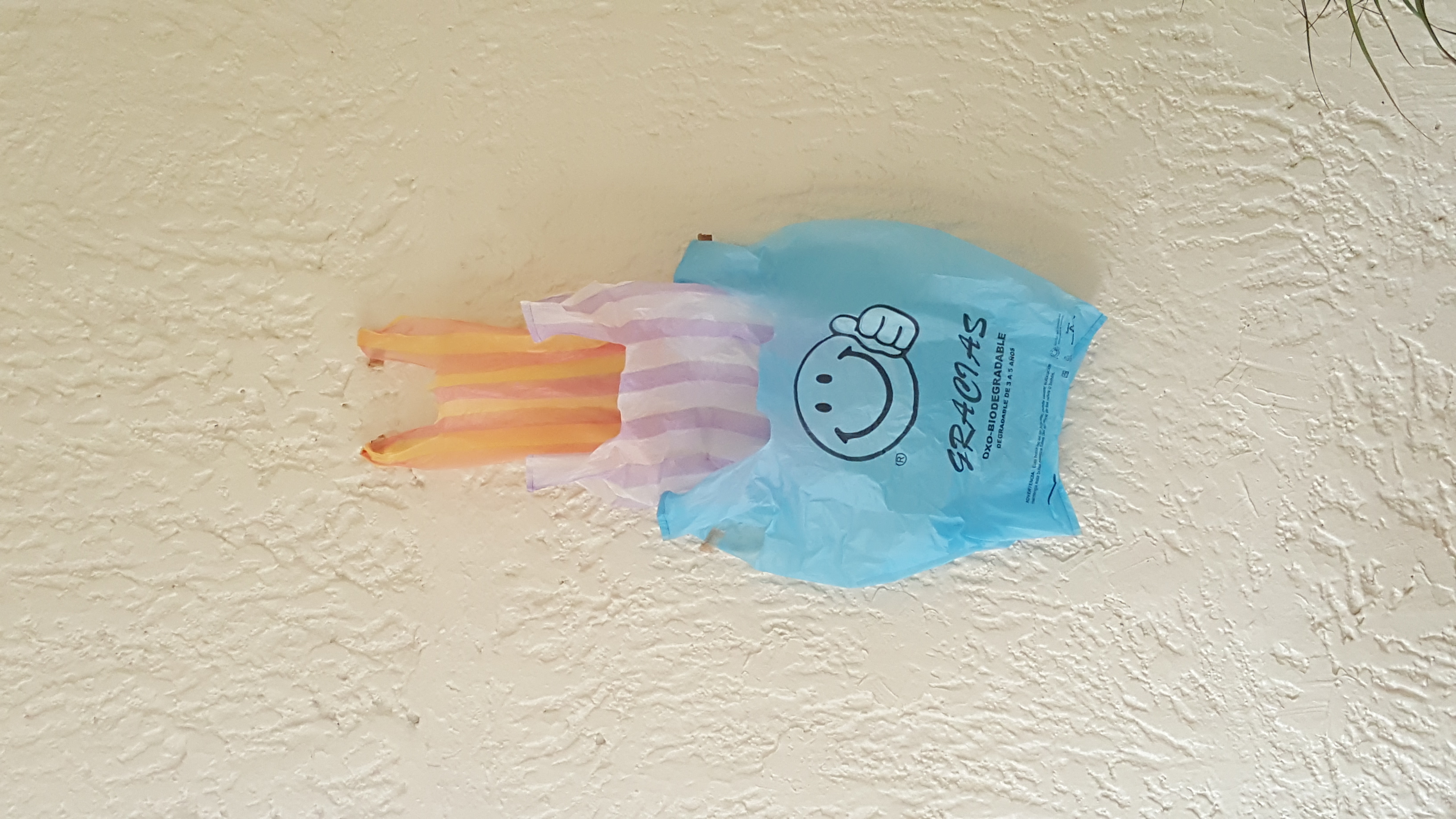 plastic bags from mexico city